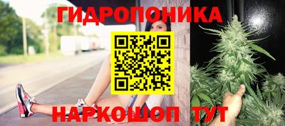 скорость Кимры