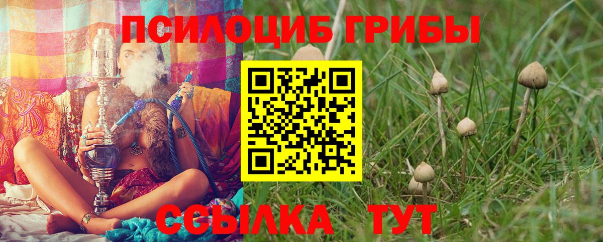 Псилоцибиновые грибы MAGIC MUSHROOMS  Вход с VPN  Тверь 